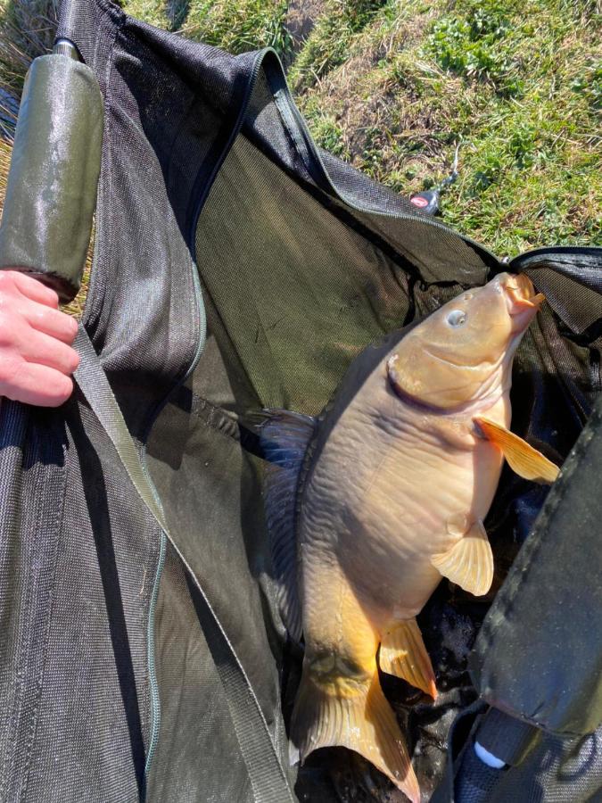 Fonclaire Holidays Carpers Rest Blond Extérieur photo